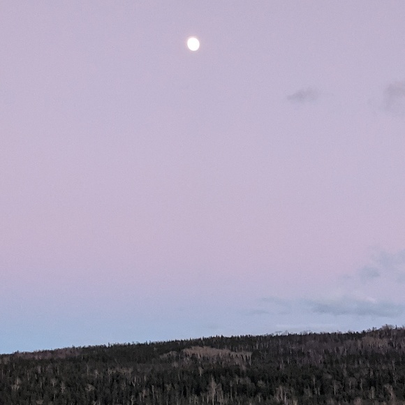 Meet your Posher, Mary - Picture 1 of 1